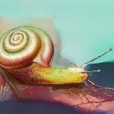 http://art.5d.cn/Thumbnails/2010-11/TUVL4ILKRN.gif