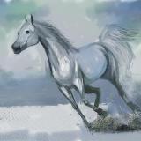 http://art.5d.cn/Thumbnails/2010-12/ANFUK0ZNUC.gif