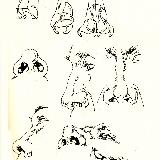 http://art.5d.cn/Thumbnails/2010-12/KJS1NEHW9J.gif