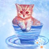 http://art.5d.cn/Thumbnails/2011-07/RMG524RNJ8.gif