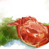 http://art.5d.cn/Thumbnails/2011-10/41EDFK14IM.gif