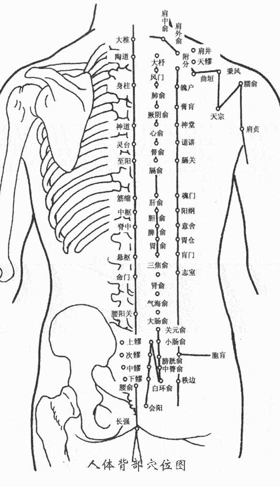 十二宫位置图       女人面痣图                      男人面