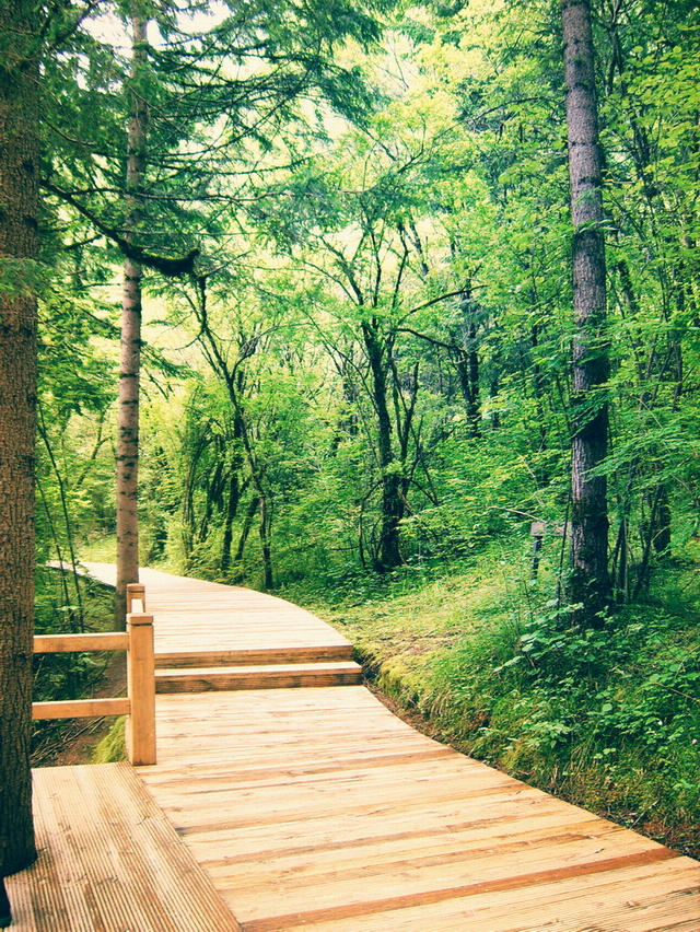 http://art.5d.cn/sarts/2010-07/1855472238890.jpg
