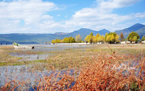 http://art.5d.cn/sarts/2012-04/2345734193060.jpg